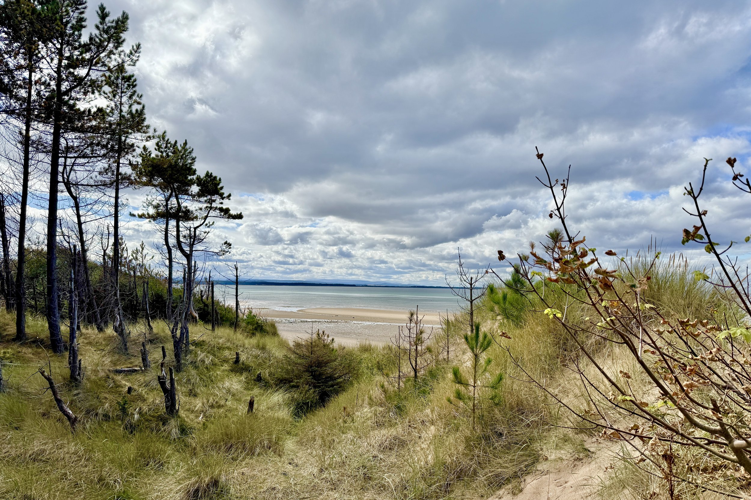 View of a beach with grassy dunes and trees in the foreground, calm water in the background, and a cloudy sky above.