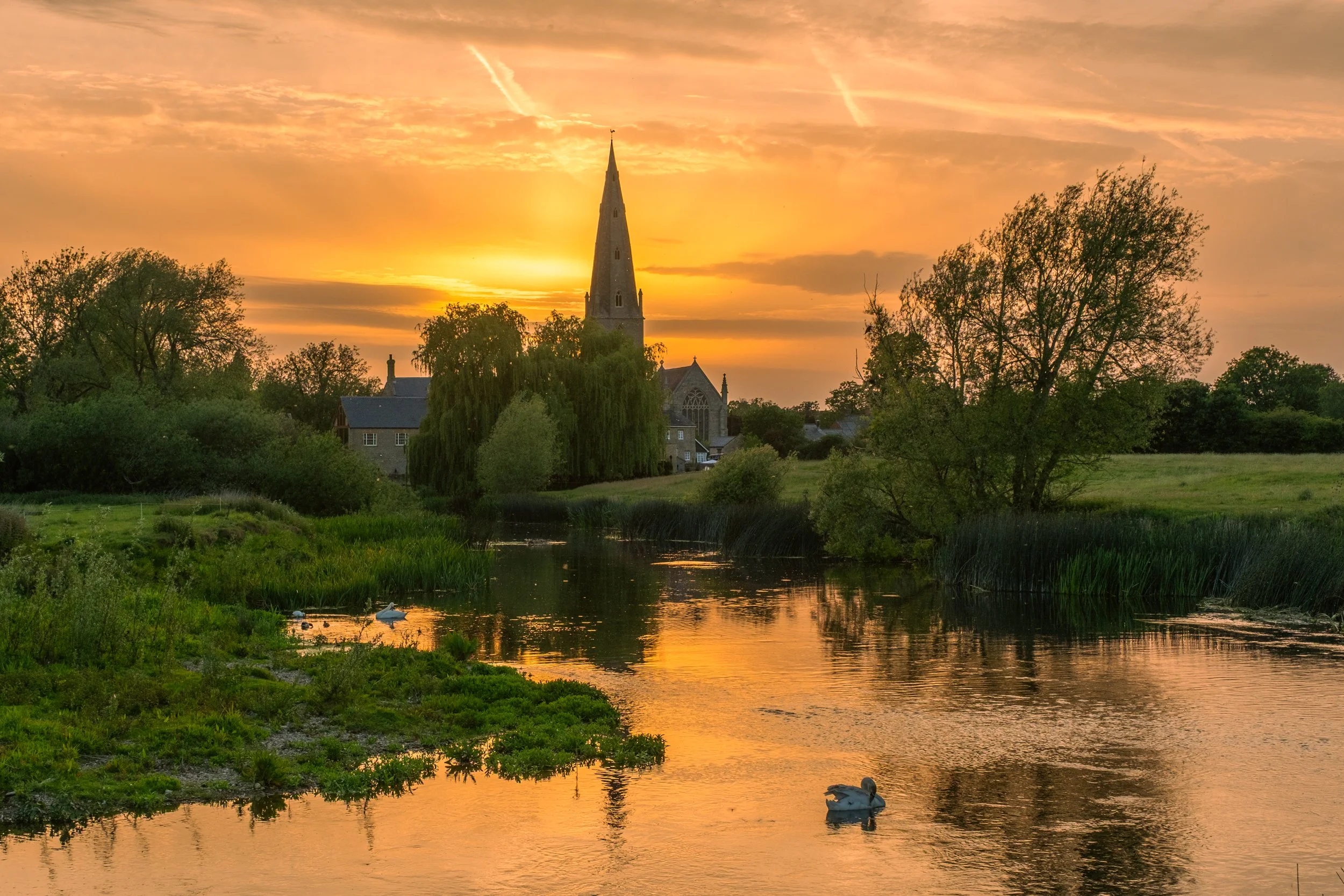 Sunset over a church with a tall steeple, trees, and a river with swans in the foreground.