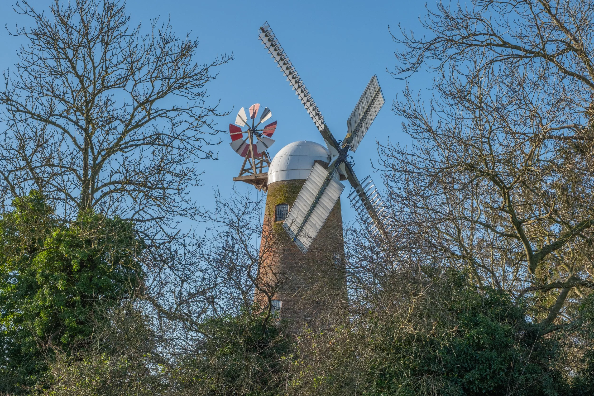 A traditional windmill with large sails on a brick base, seen through leafless trees against a clear blue sky.