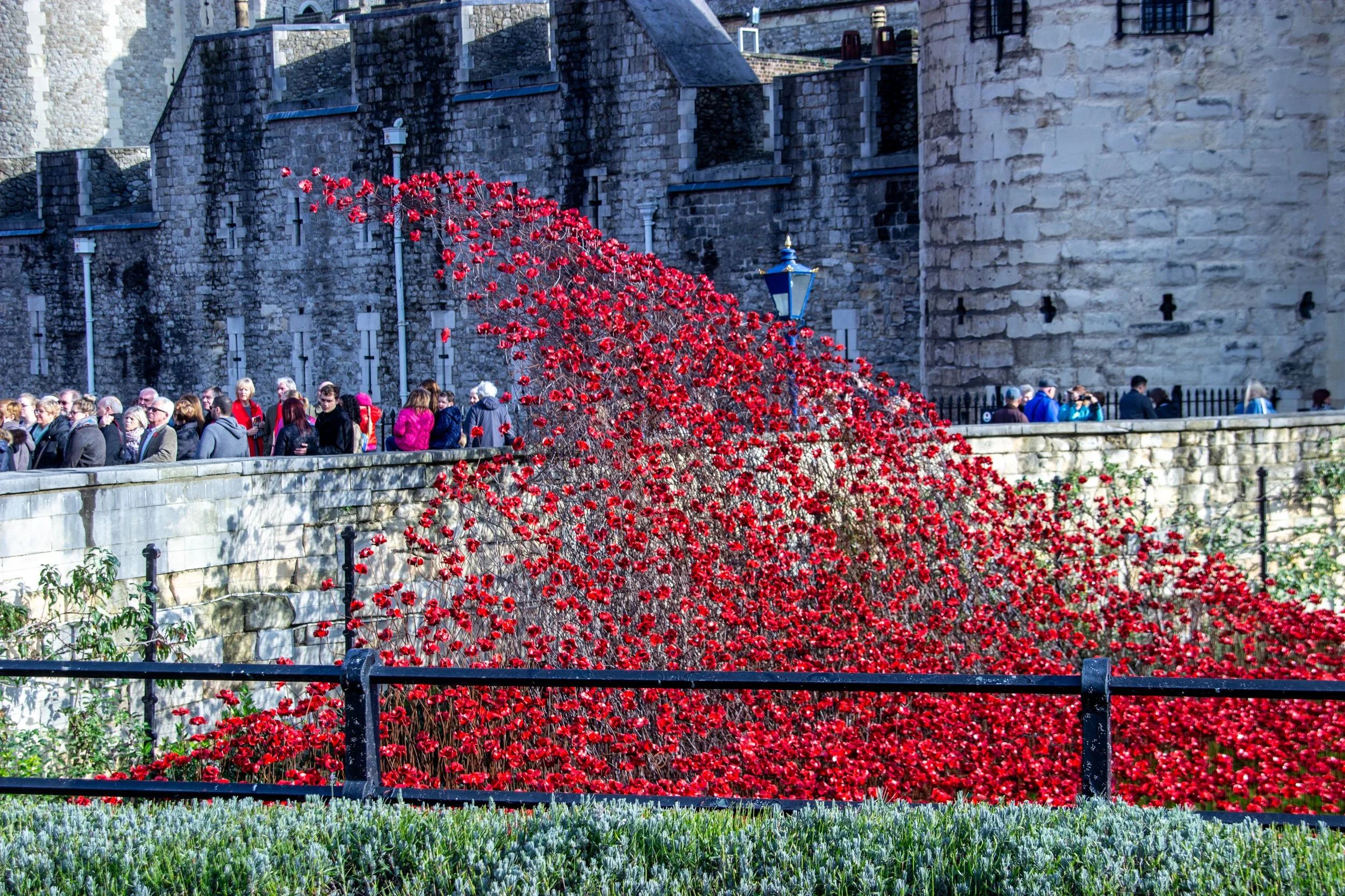 A large crowd of people standing along a stone wall with a large display of red flowers behind them, set against a backdrop of historic stone buildings with small windows and sloped roofs.