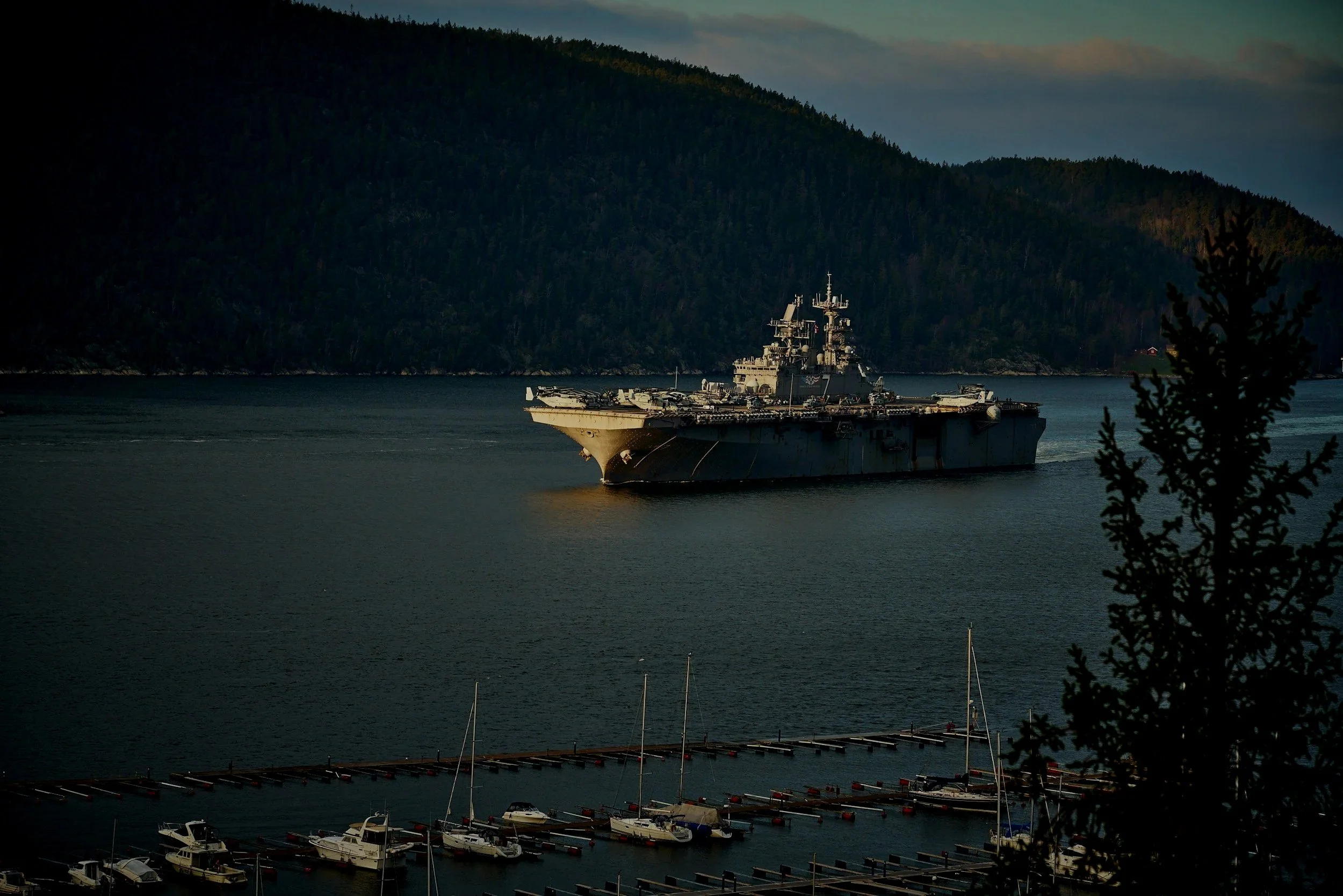 A large naval ship sailing in a waterway near a marina with boats and yachts. The background features a forested hillside under a partly cloudy sky, with trees and foliage visible in the foreground.