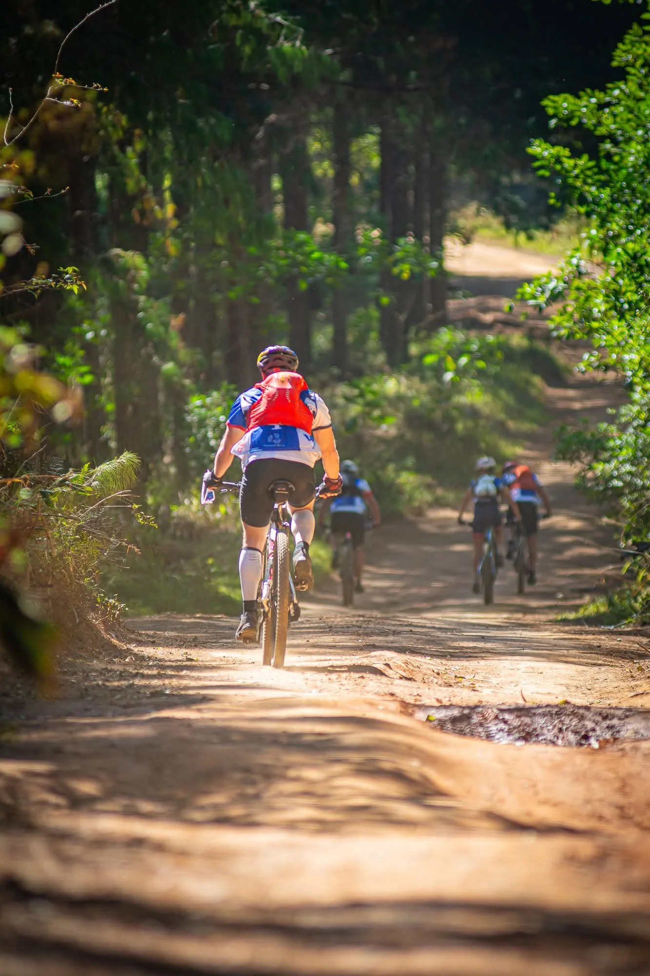 A group of cyclists riding on a dirt trail through a wooded forest during daytime, with sunlight filtering through trees.