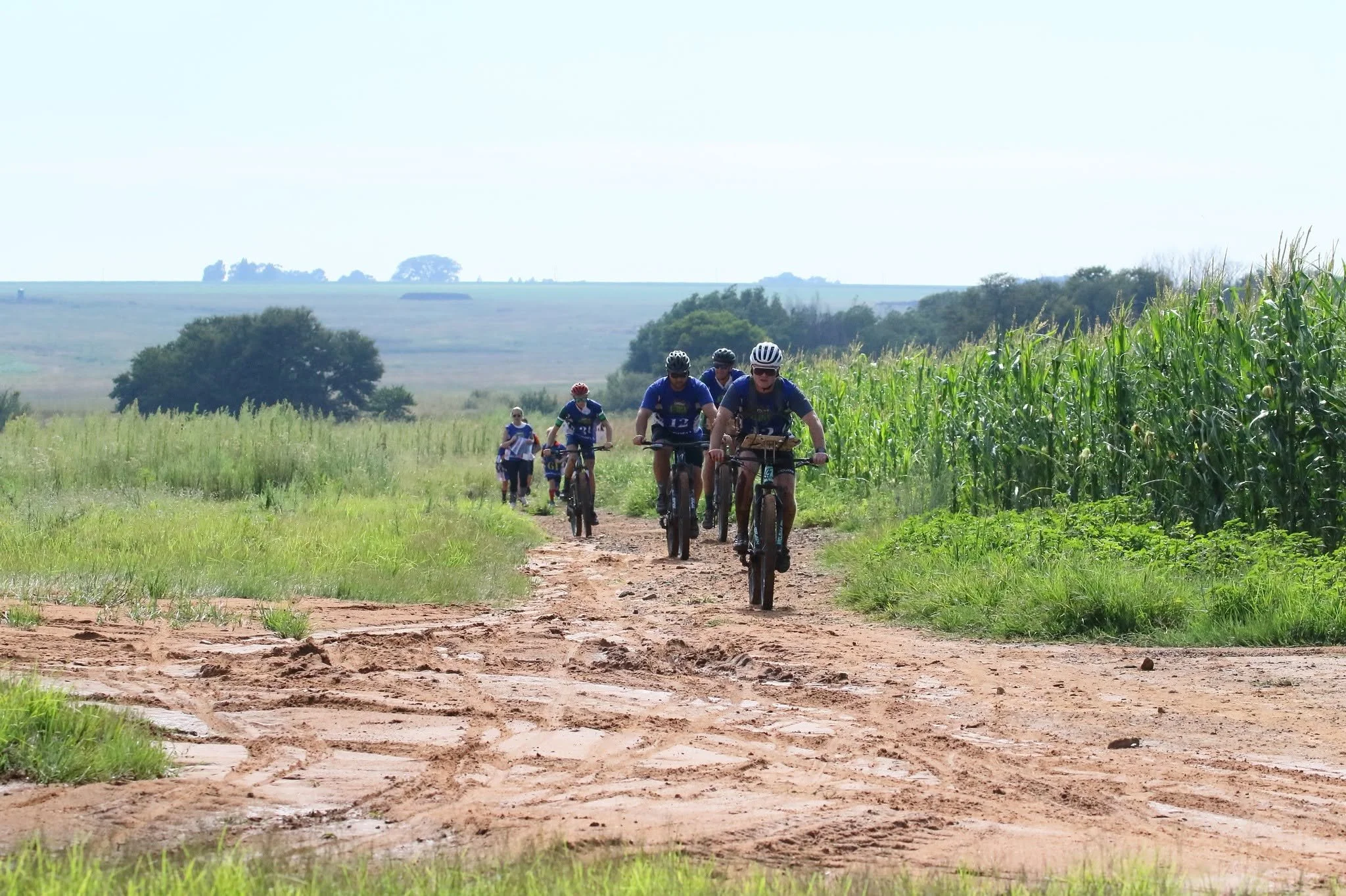 Group of five cyclists riding on a dirt trail through a green rural landscape with trees and open fields under a clear sky.