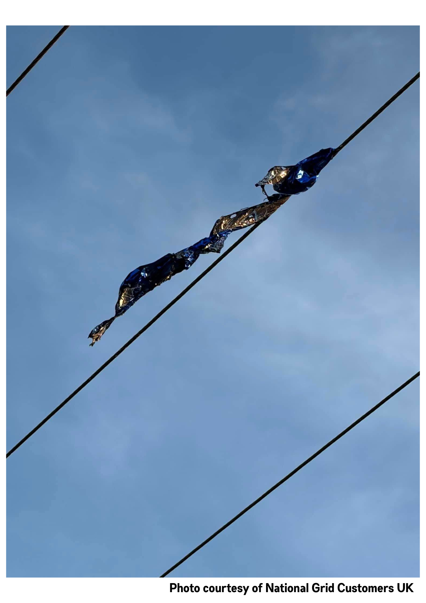 Why Every Balloon Professional Needs to Talk About Power Line Safety