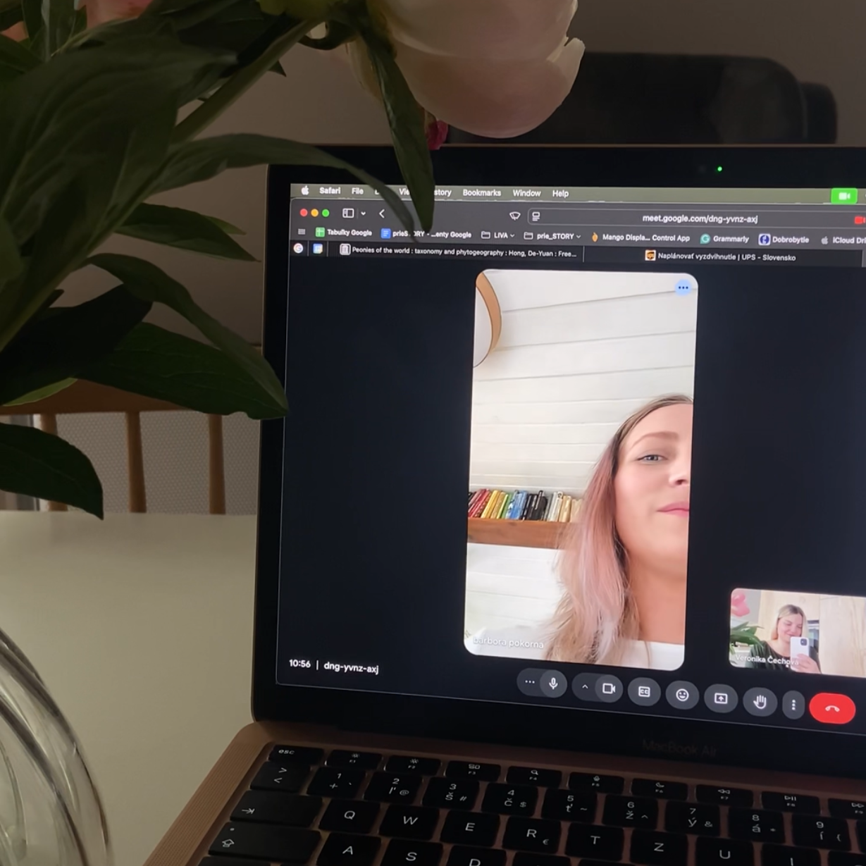 Online organizácia domácnosti cez videohovor, prieSTORY.