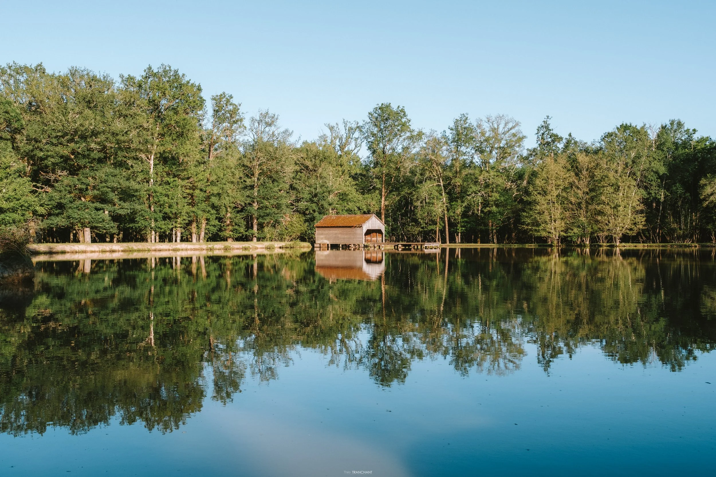 A serene lake reflecting a dense forest of green trees with a small wooden boathouse on the shore under a clear blue sky.