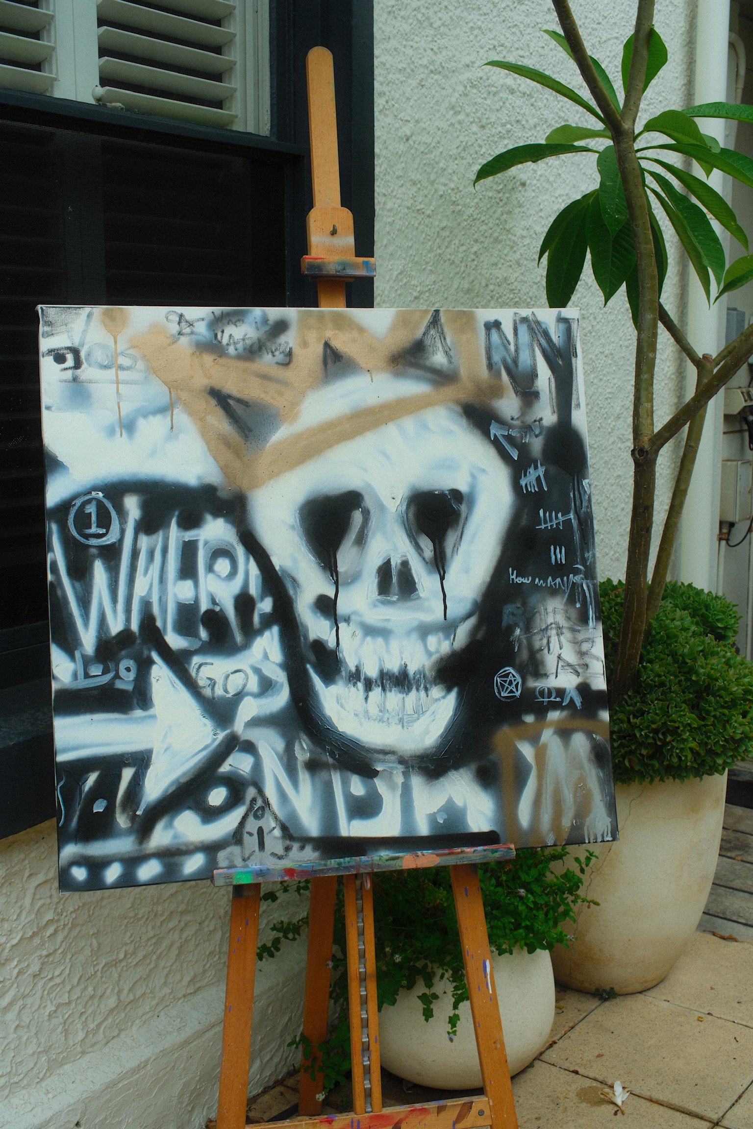 The Lost King