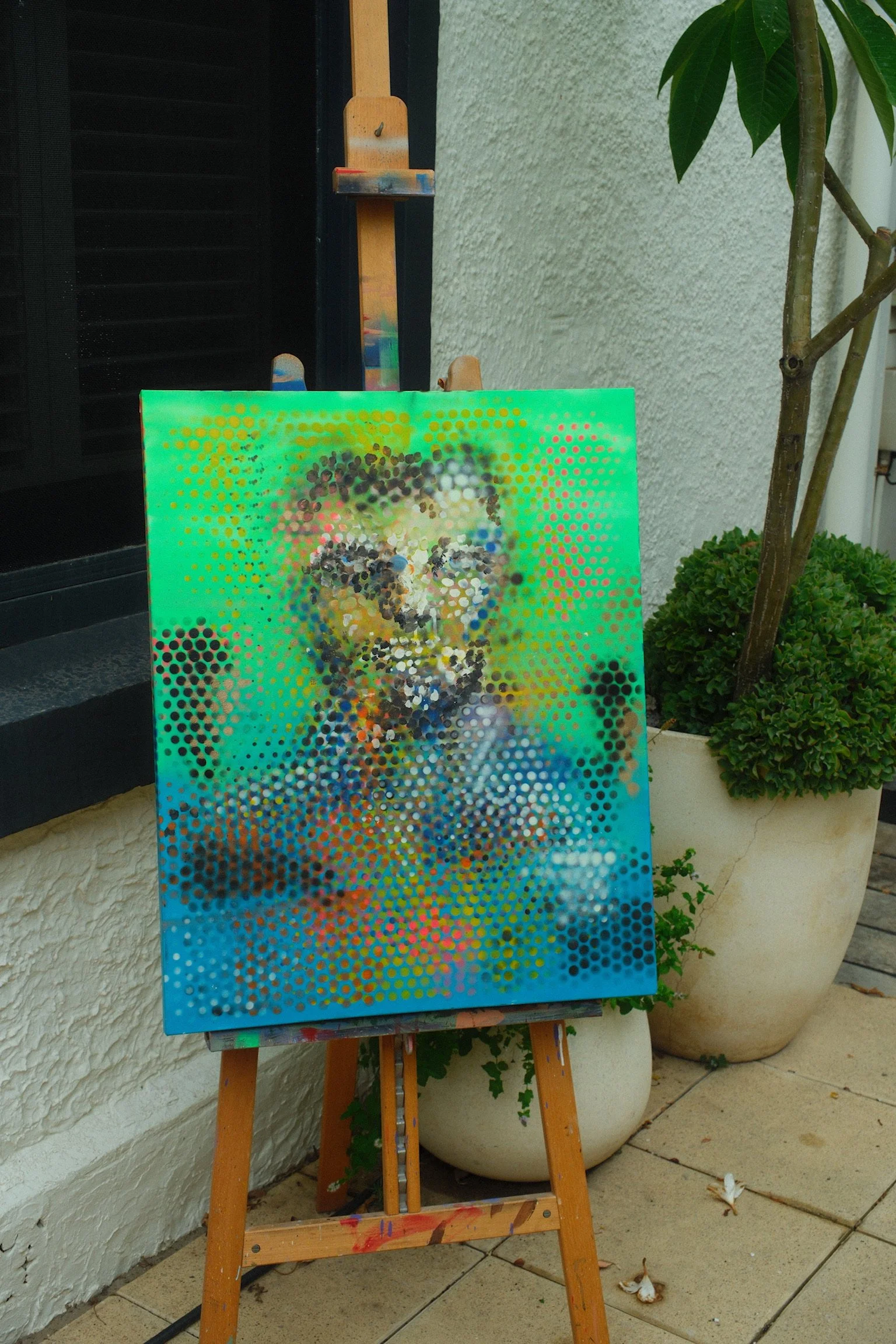 DSCF0141.jpg