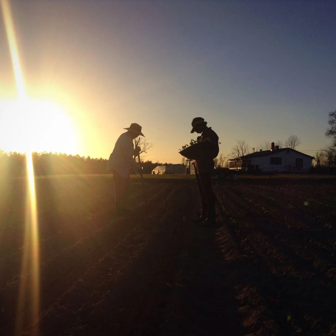 The Farm (11).jpg