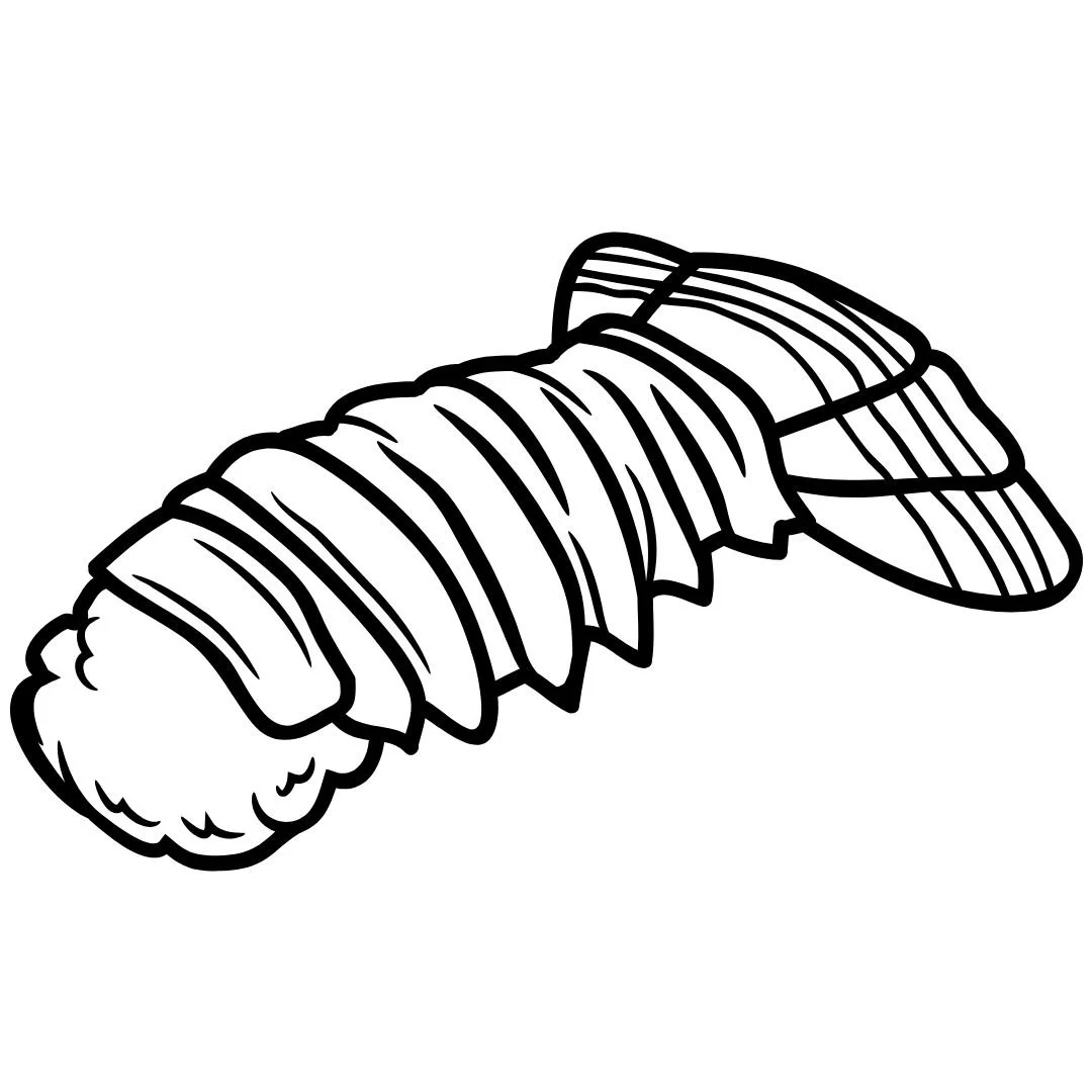 Lobster Tail