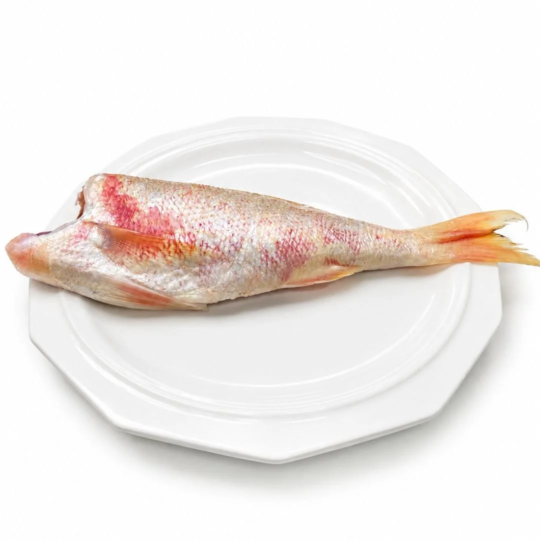 Red Snapper