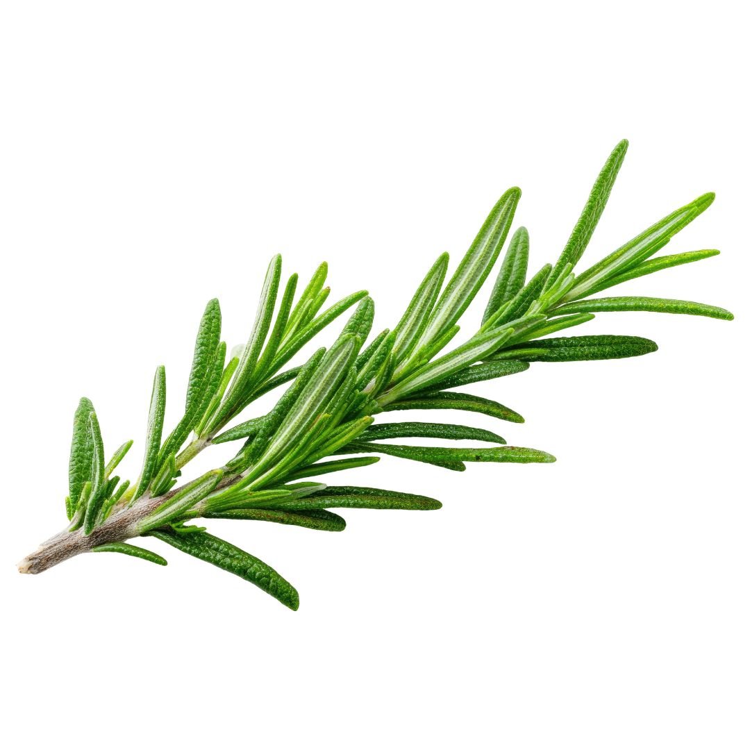 Rosemary