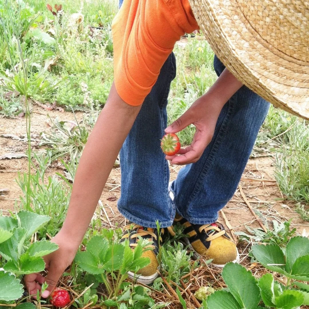 The Farm (12).jpg