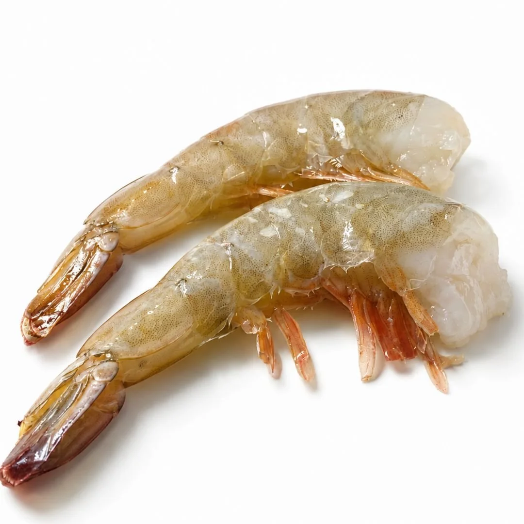 Shrimp