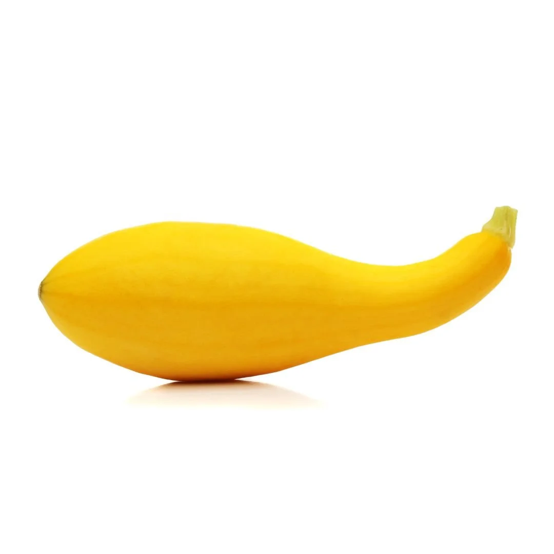 Squash, yellow