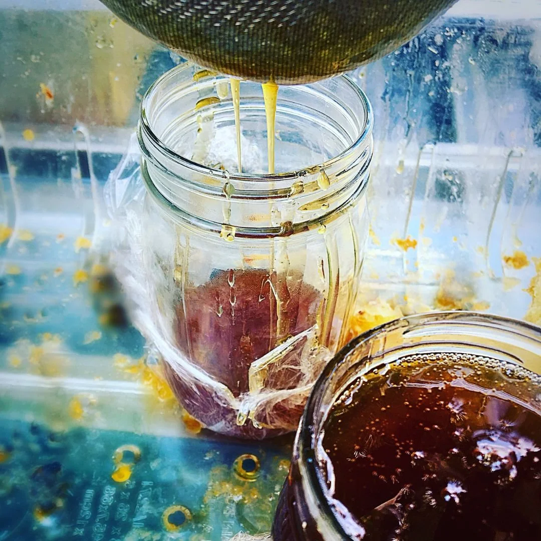 Honey.jpg
