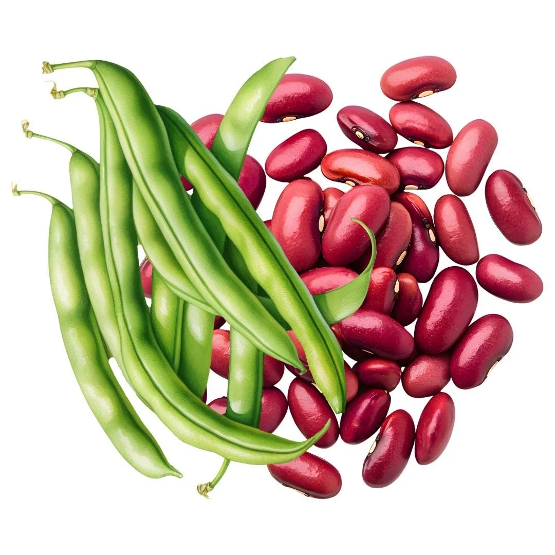 Vegetable Medley.jpg