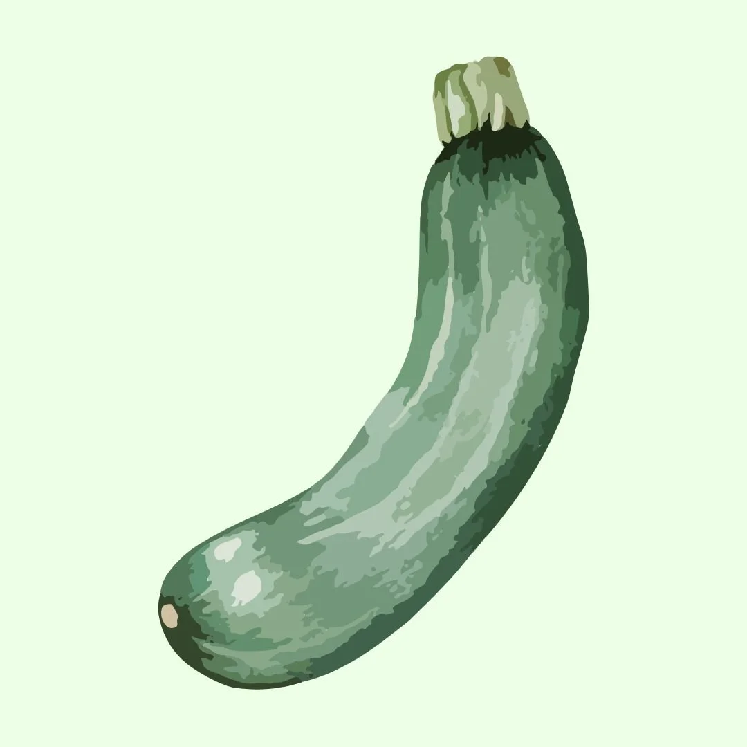 Zucchini Squash