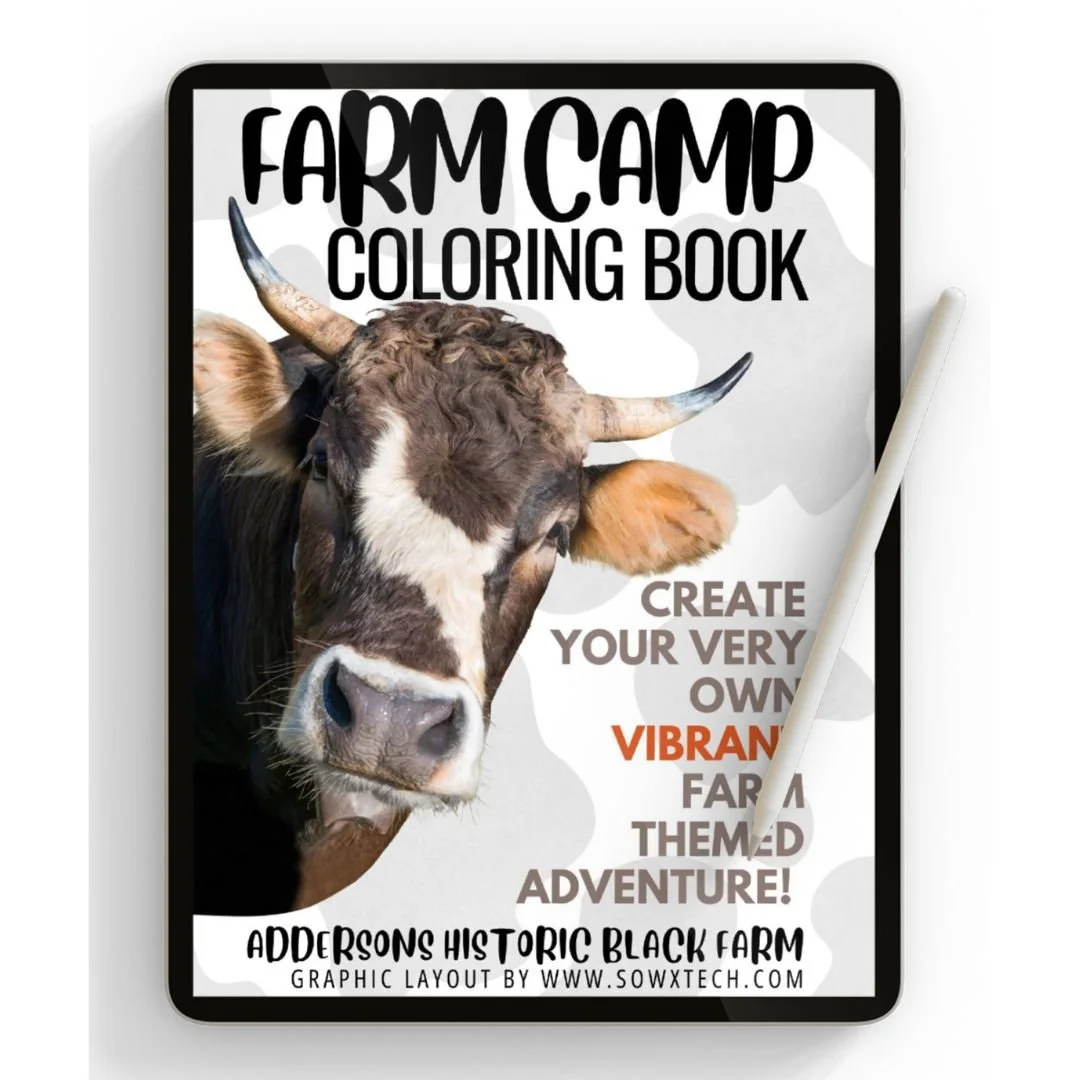 Coloring Book.jpg