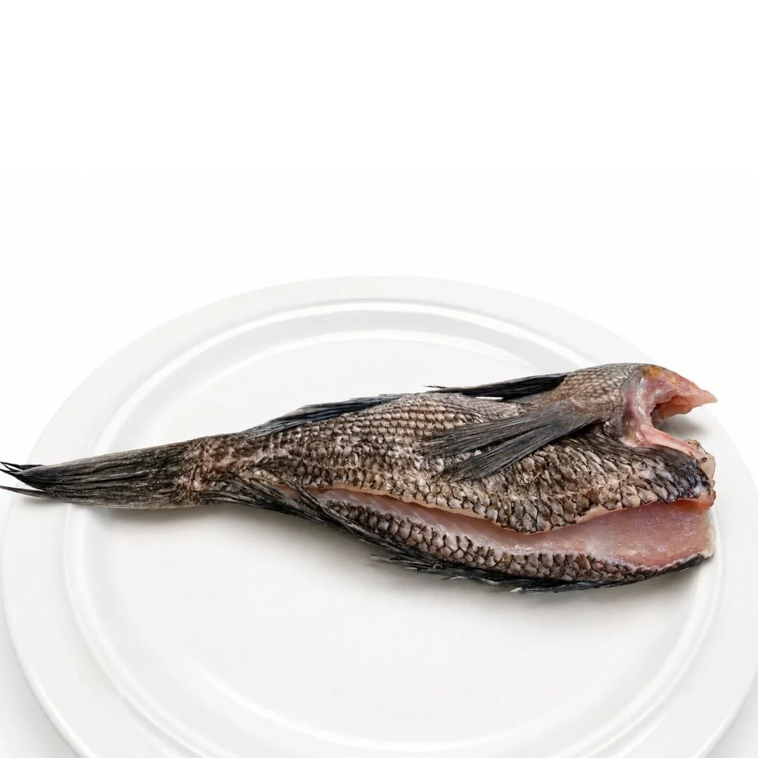 Black Sea Bass