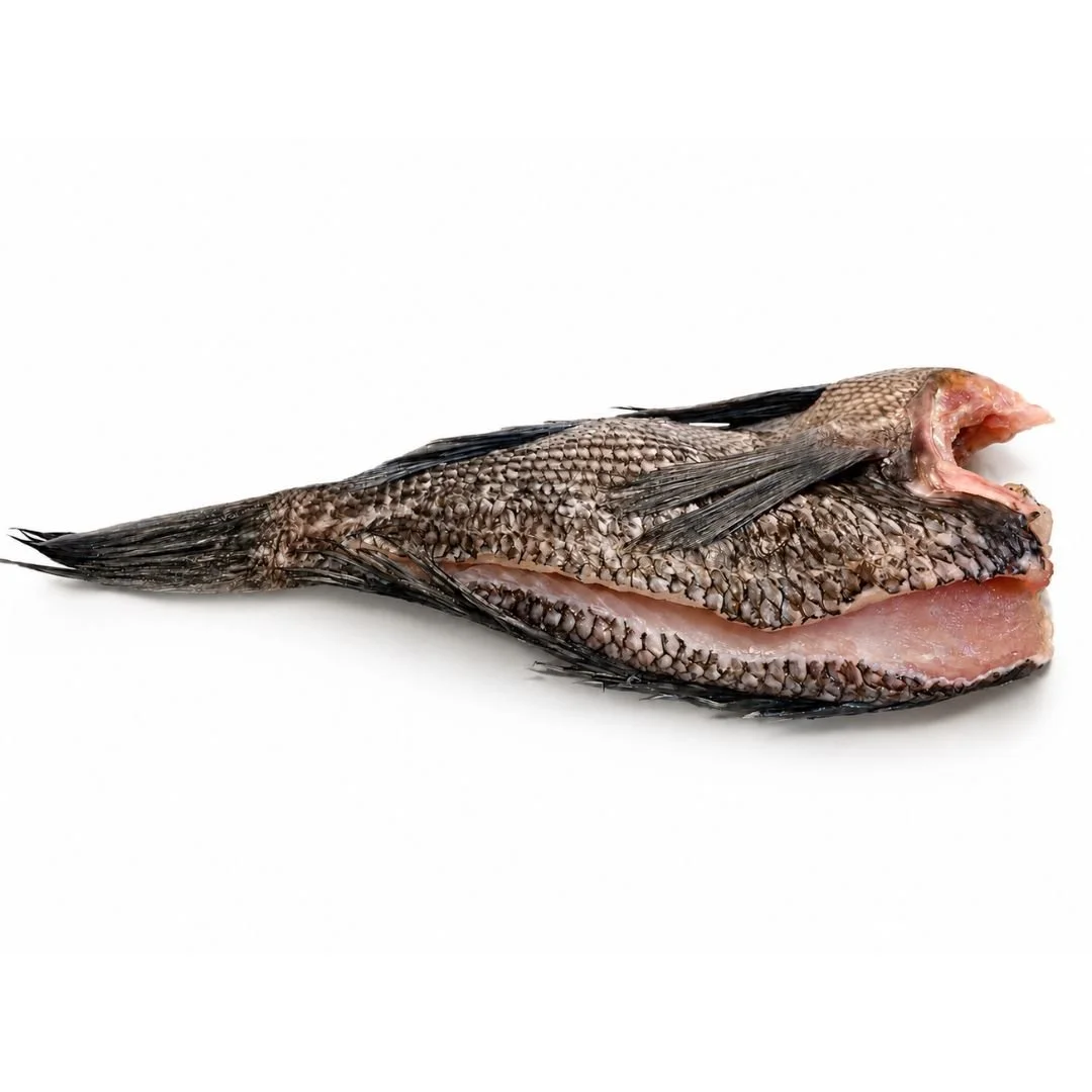 Black Sea Bass