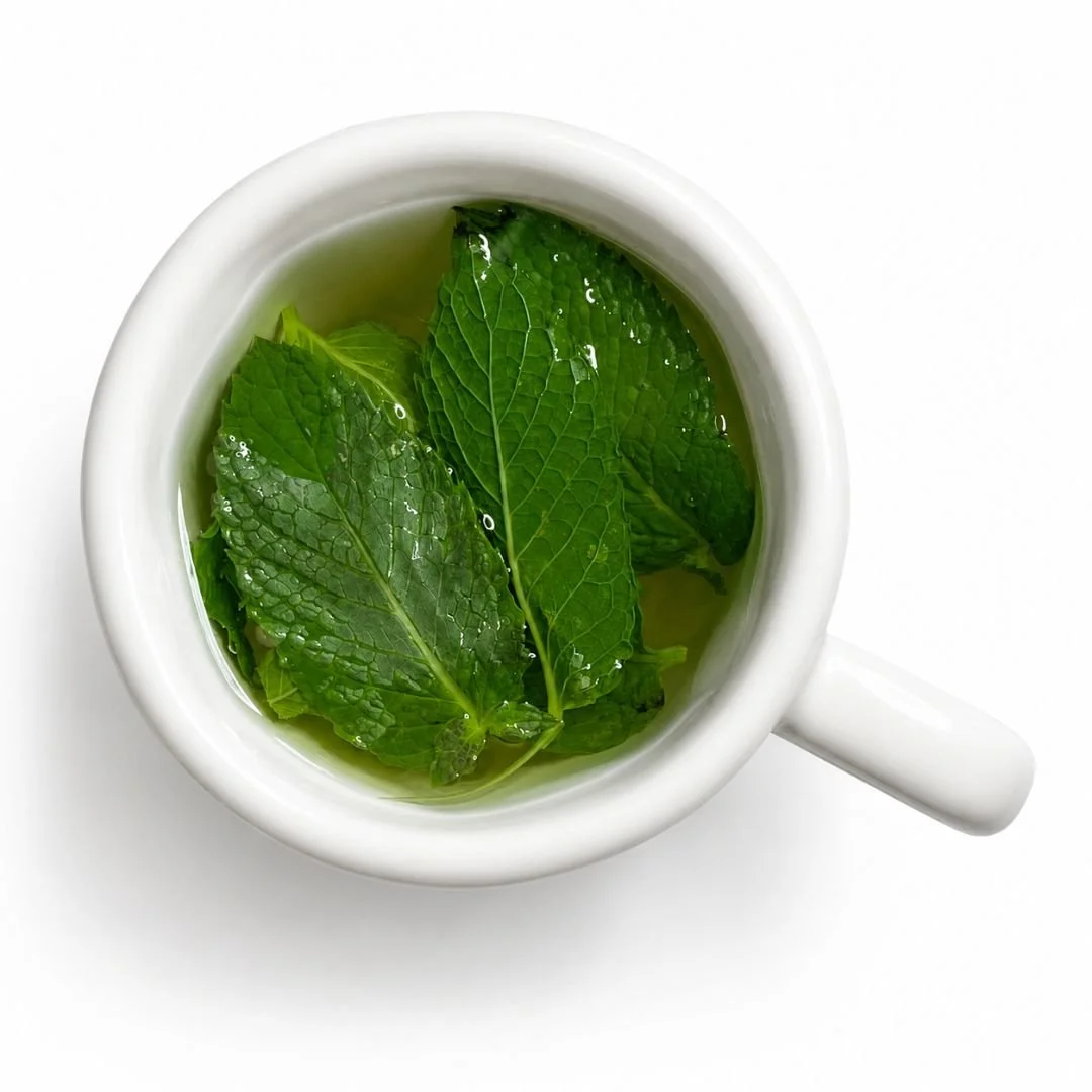 Mint Tea in a Cup