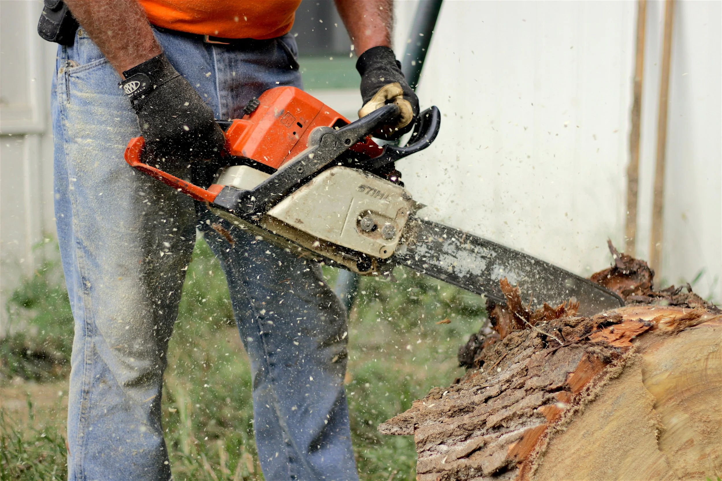 Person wearing gloves and jeans using a chainsaw to cut a fallen log, with wood chips flying.