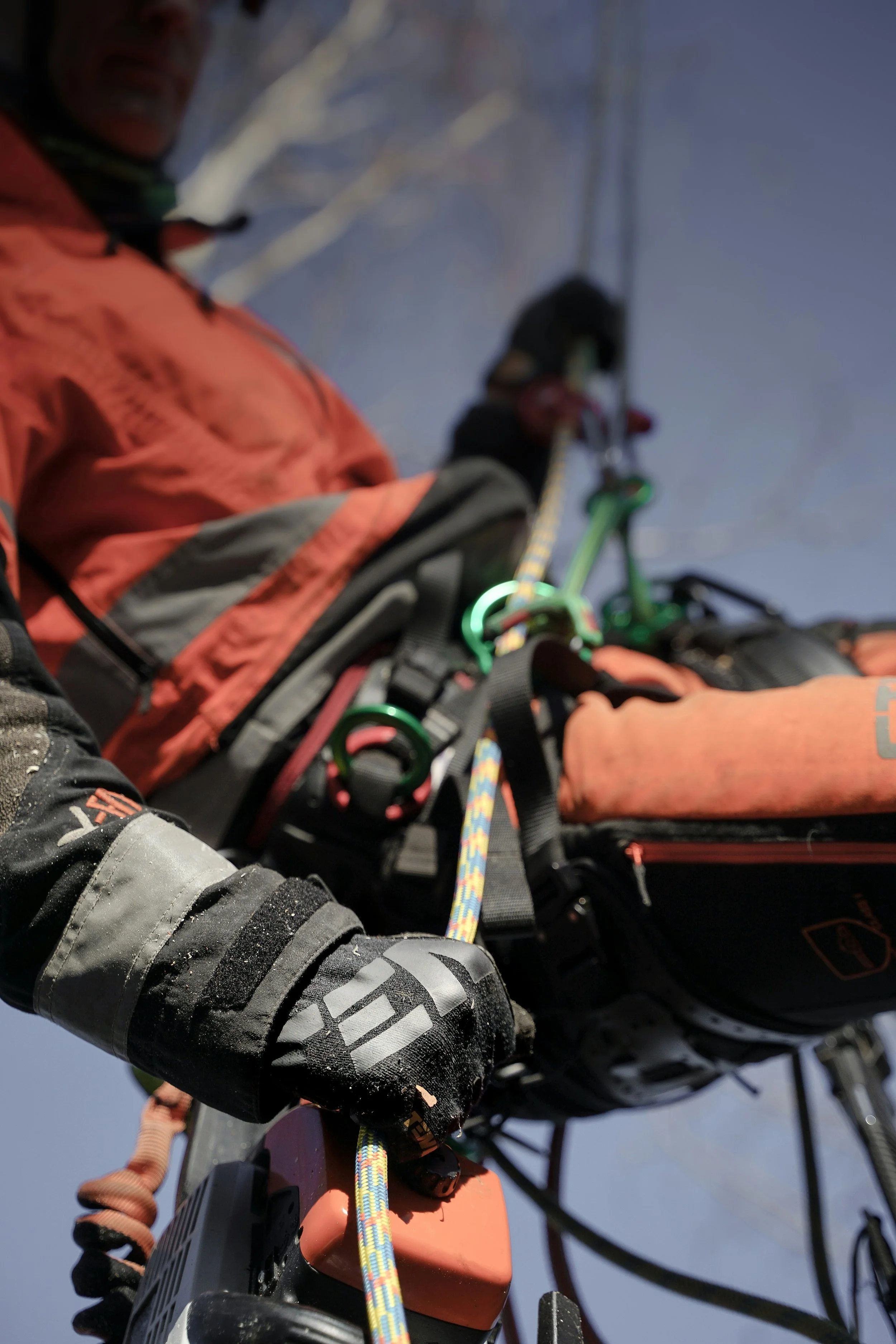 Close-up view of an arborist wearing a high-vis orange jacket, holding onto a yellow and blue climbing rope attached to a harness, with a background of a clear blue sky.