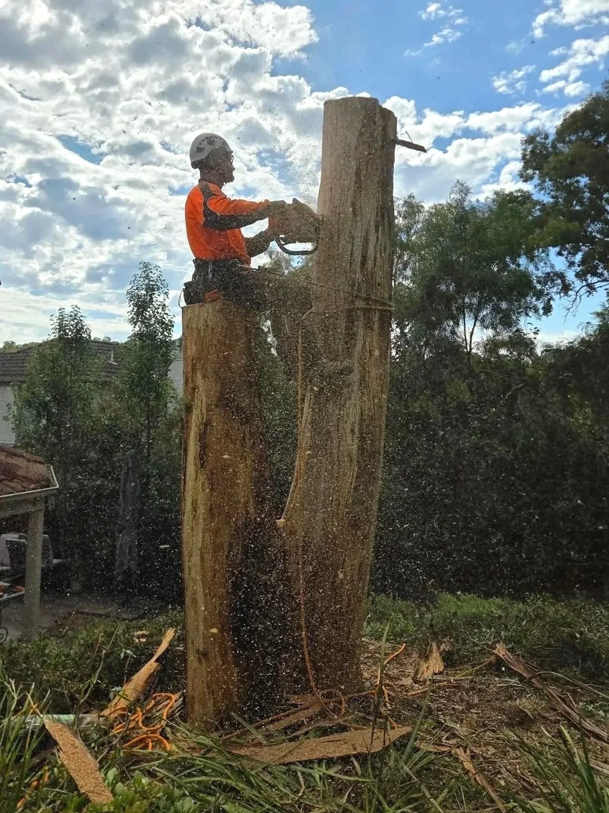 A man wearing safety gear, including a helmet and orange jacket, cutting down a large tree with a chainsaw. Wood chips and sawdust are flying as he operates the tool. The sky is partly cloudy with trees and a house in the background.