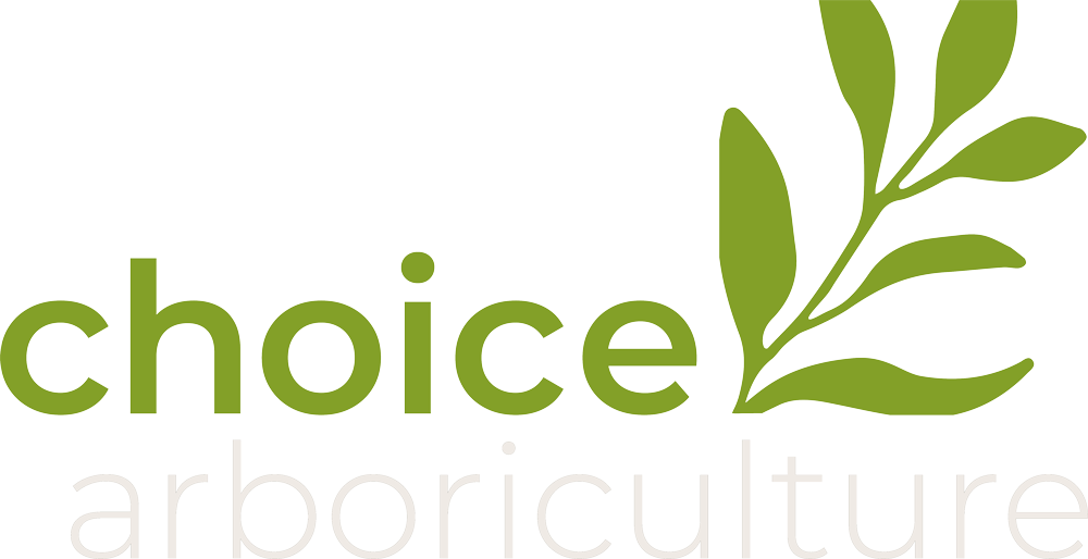 Logo for choice arboriculture with green stylized leaf branch and green and white text.