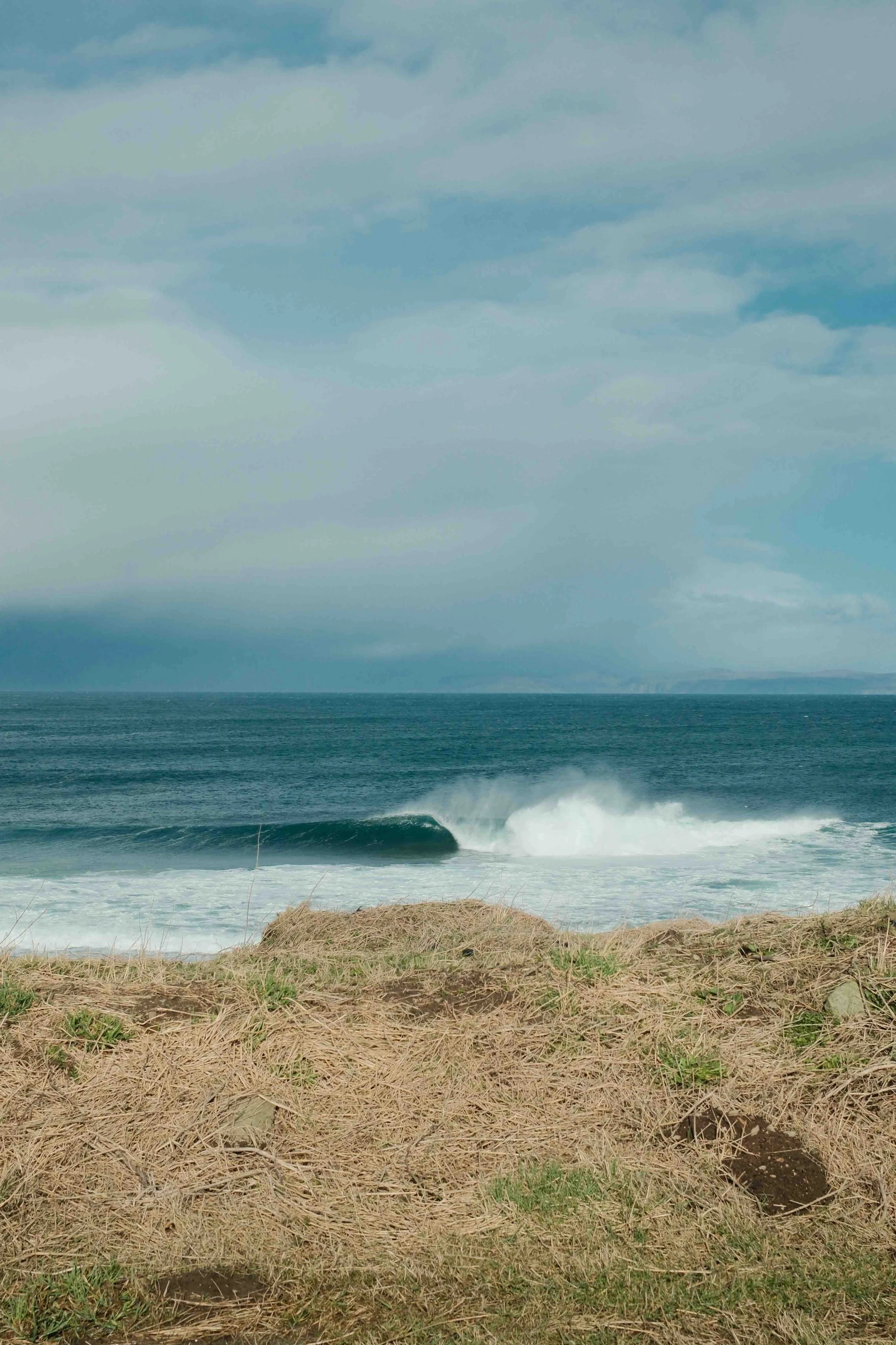 NC Waves