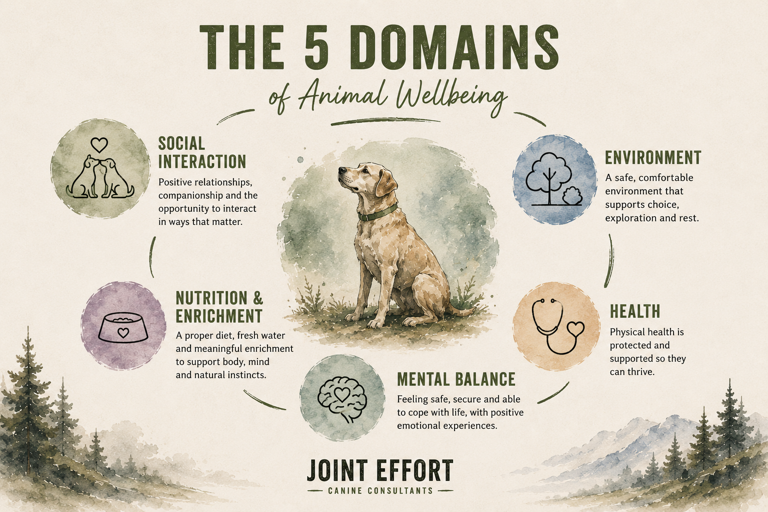 Infographic titled "The 5 Domains of Animal Wellbeing" featuring a central illustration of a sitting dog. Surrounding sections include: Social Interaction with two dogs touching noses, Environment with a tree icon, Health with a stethoscope icon, Mental Balance with a brain and heart icon, Nutrition & Enrichment with a food bowl icon. The background has mountain and forest scenery.
