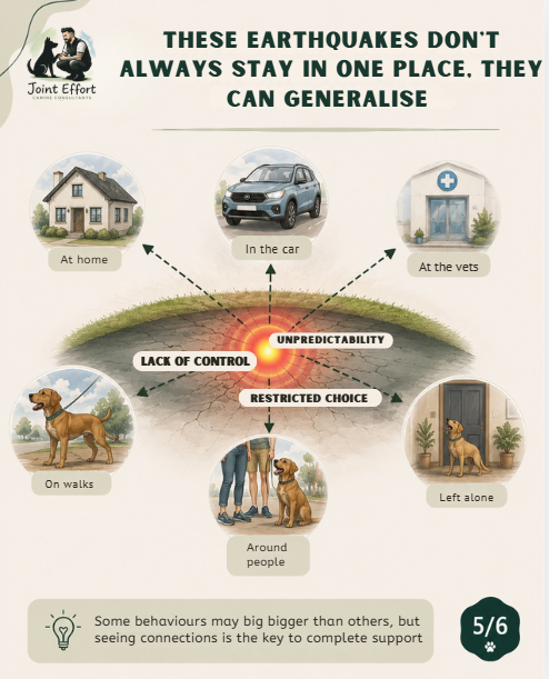 An infographic about earthquakes showing different situations with a dog, including at home, in the car, at the vets, on walks, around people, and left alone. The infographic emphasizes that earthquakes are unpredictable, lack control, and are a restricted choice, with a note that connection is key to support.