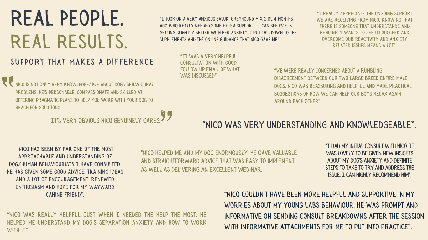 Client testimonials praising dog behavioral expert Nico for his helpful, understanding, and practical support, with quotes about improved dog behavior and reduced anxiety.