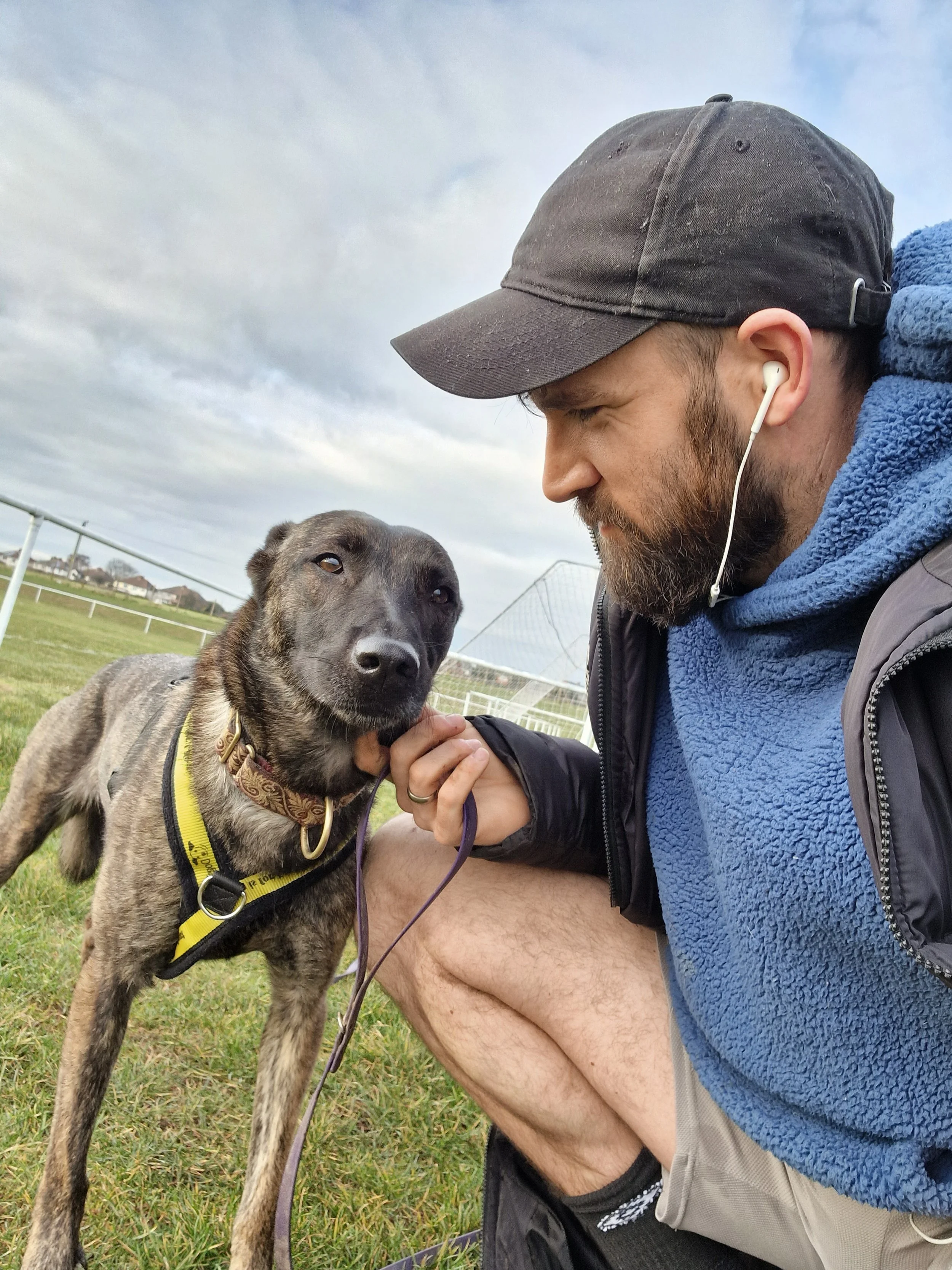 A man wearing a dark cap, blue fleece jacket, and earbuds crouches down to pet a brindle-colored dog with a yellow harness on a grassy field. The man has a beard and is squinting. The background shows a cloudy sky and a white fence.