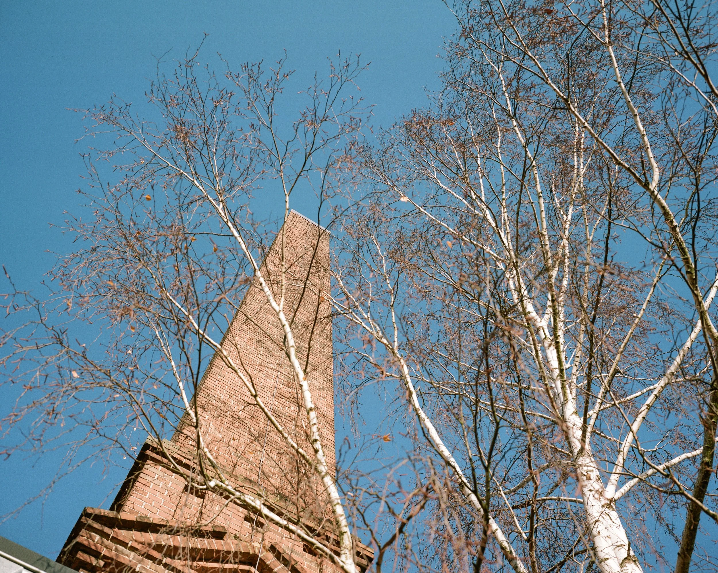 schornstein-birke.jpg