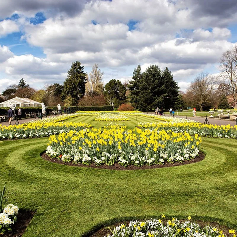 Kew Gardens