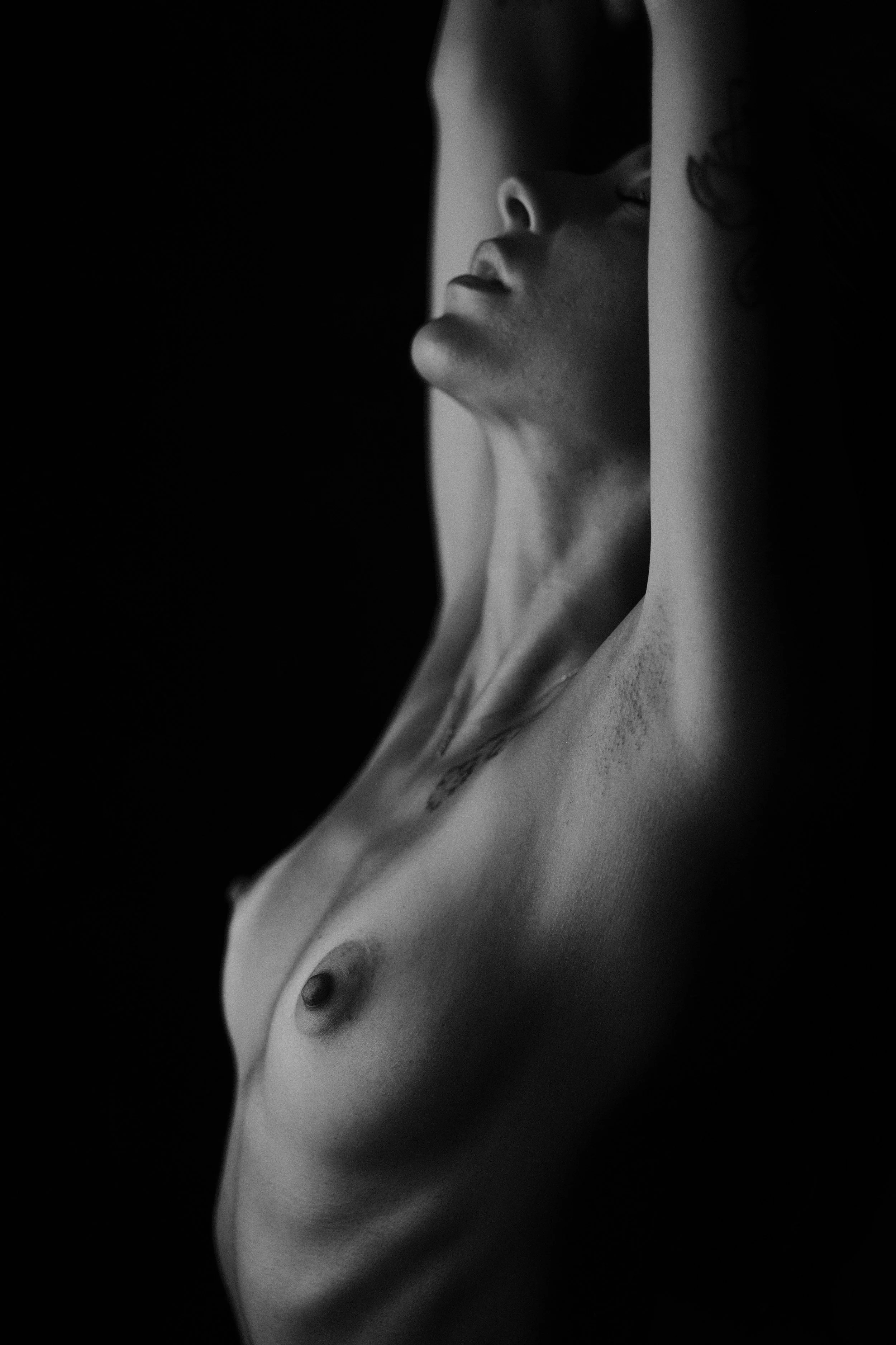 DSCF3654.jpg