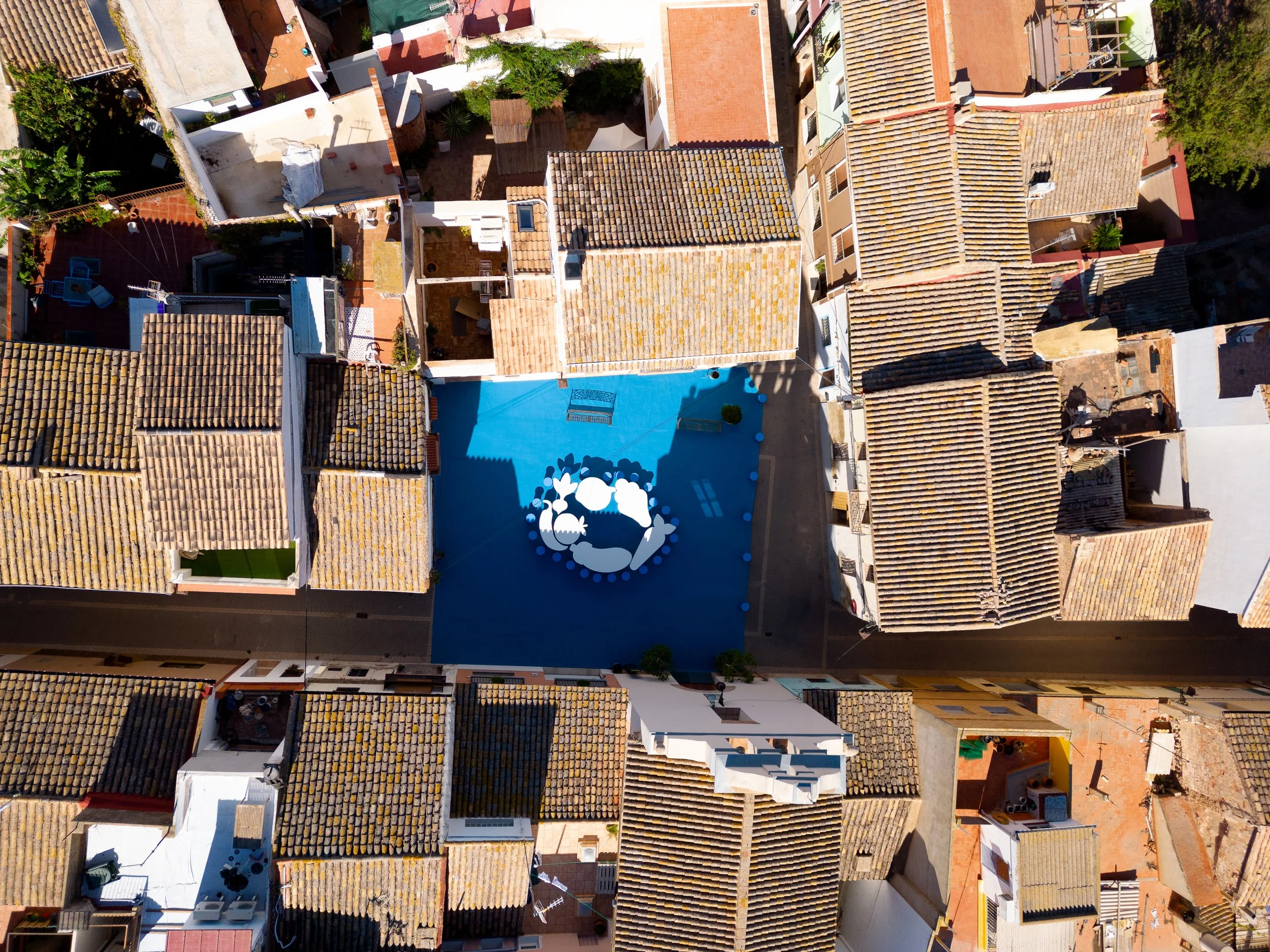 DJI_0692.jpg