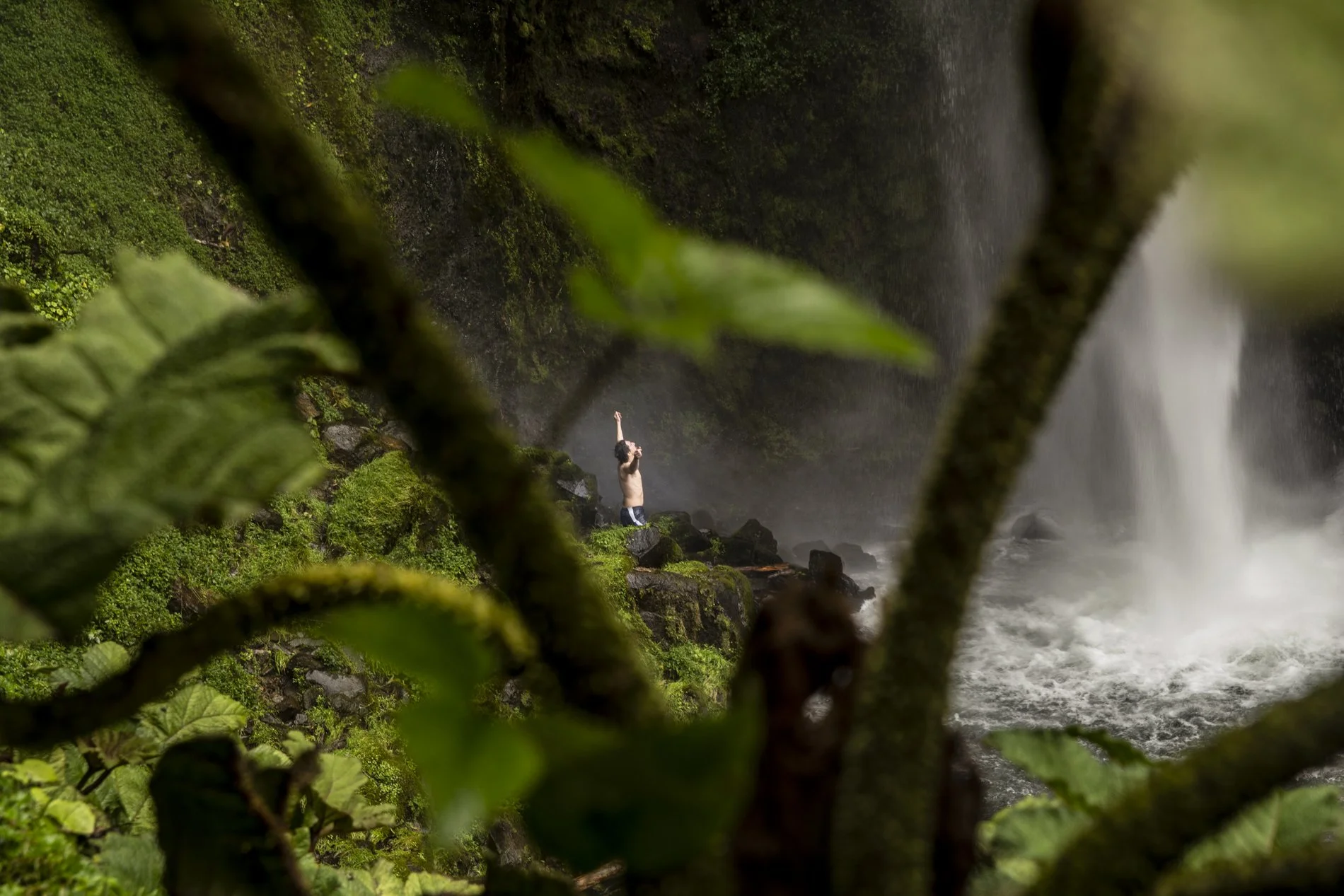 A person standing on rocks next to a waterfall, framed by greenery and moss-covered branches in a lush, forested area.