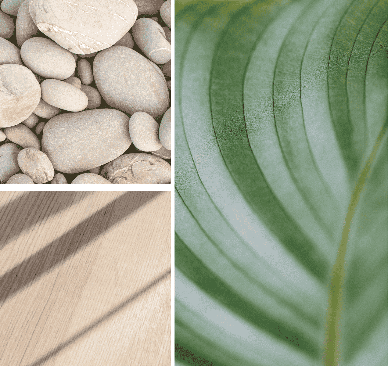 Healing Architecture Holz und organische Blatt- und Kieselformen