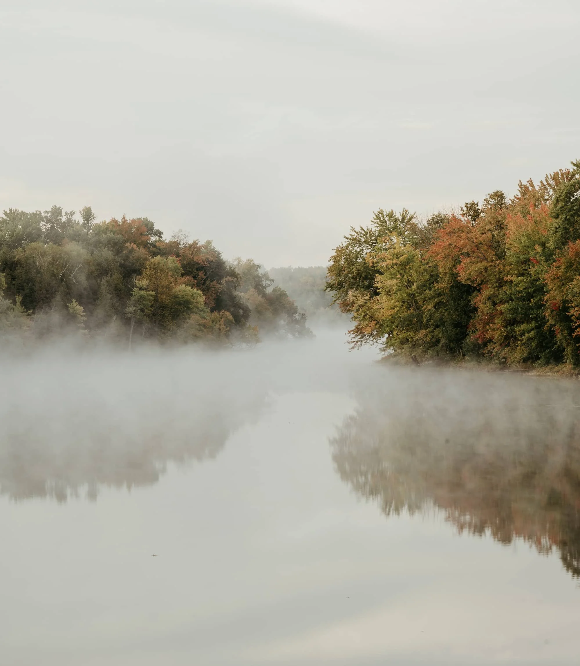 See, inn dem sich herbstlich gefärbte Bäume und Sträucher spiegeln