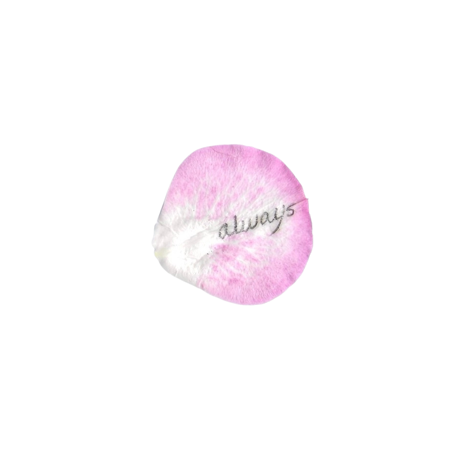 Pink and white flower with the word 'Always' written on it.