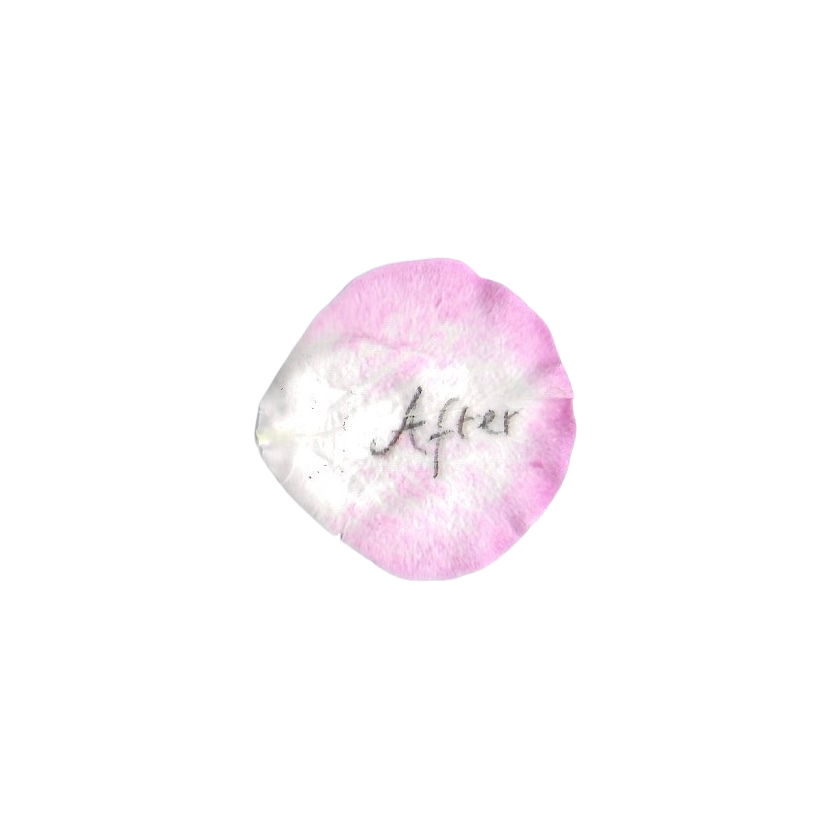Pink donut with the word 'after' written in the center.