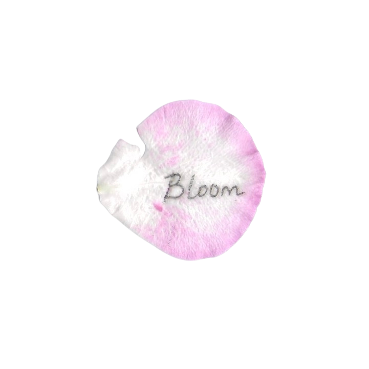 A pink and white petal with the word 'Bloom' written on it in pencil.