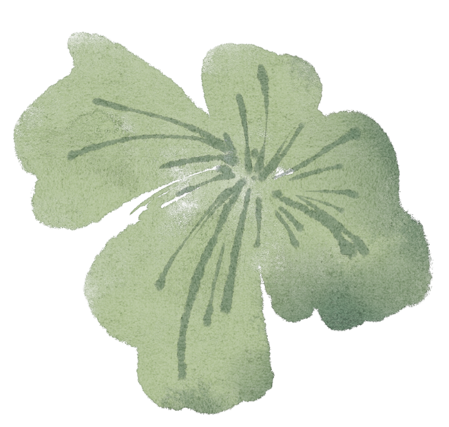 A watercolor illustration of a light green, five-petaled flower with subtle shading and line details.