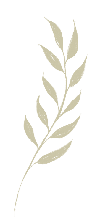 A single, stylized beige leaf branch with multiple leaves on a black background.