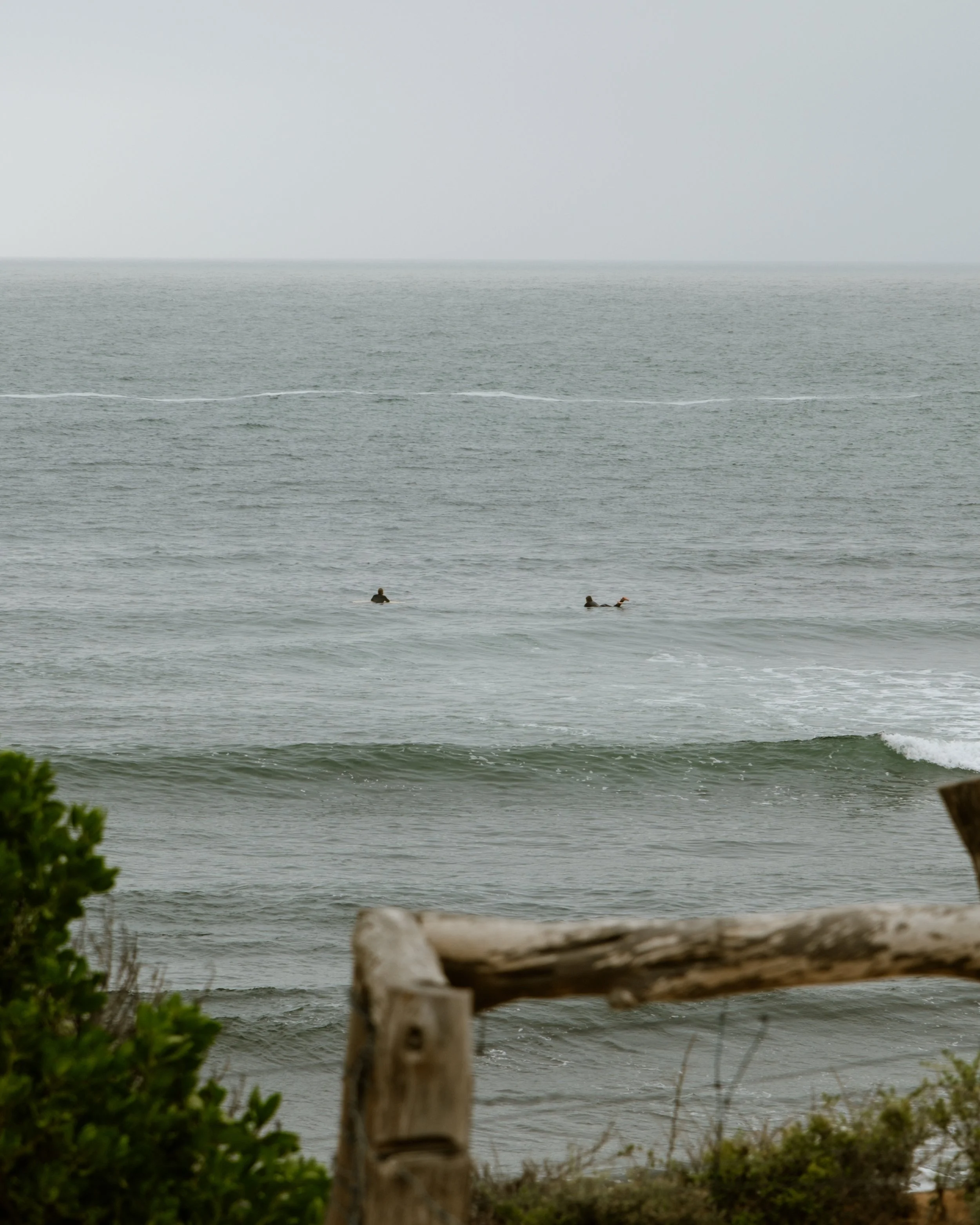 DSCF1551.JPG