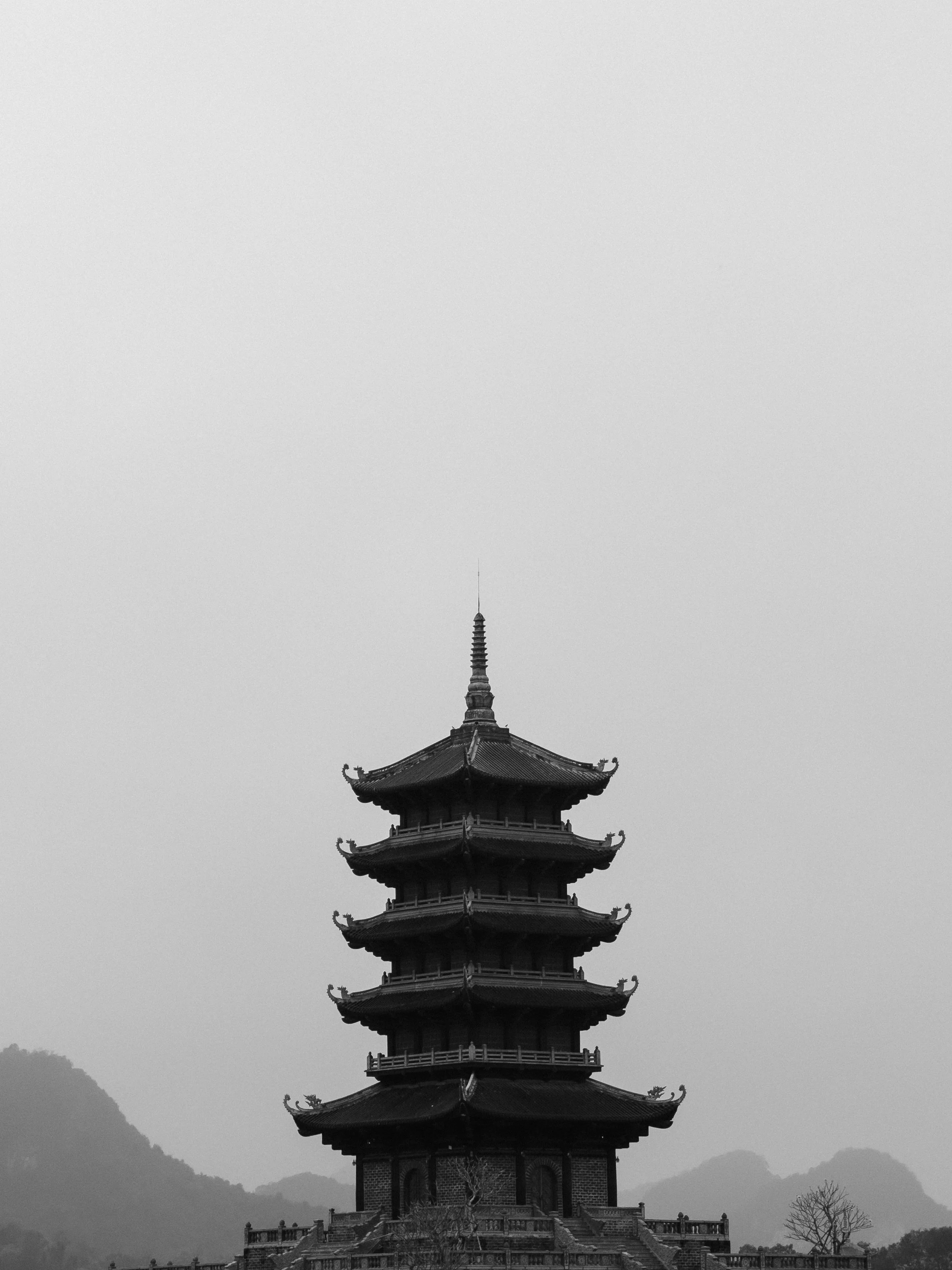 IMG_5621.JPG