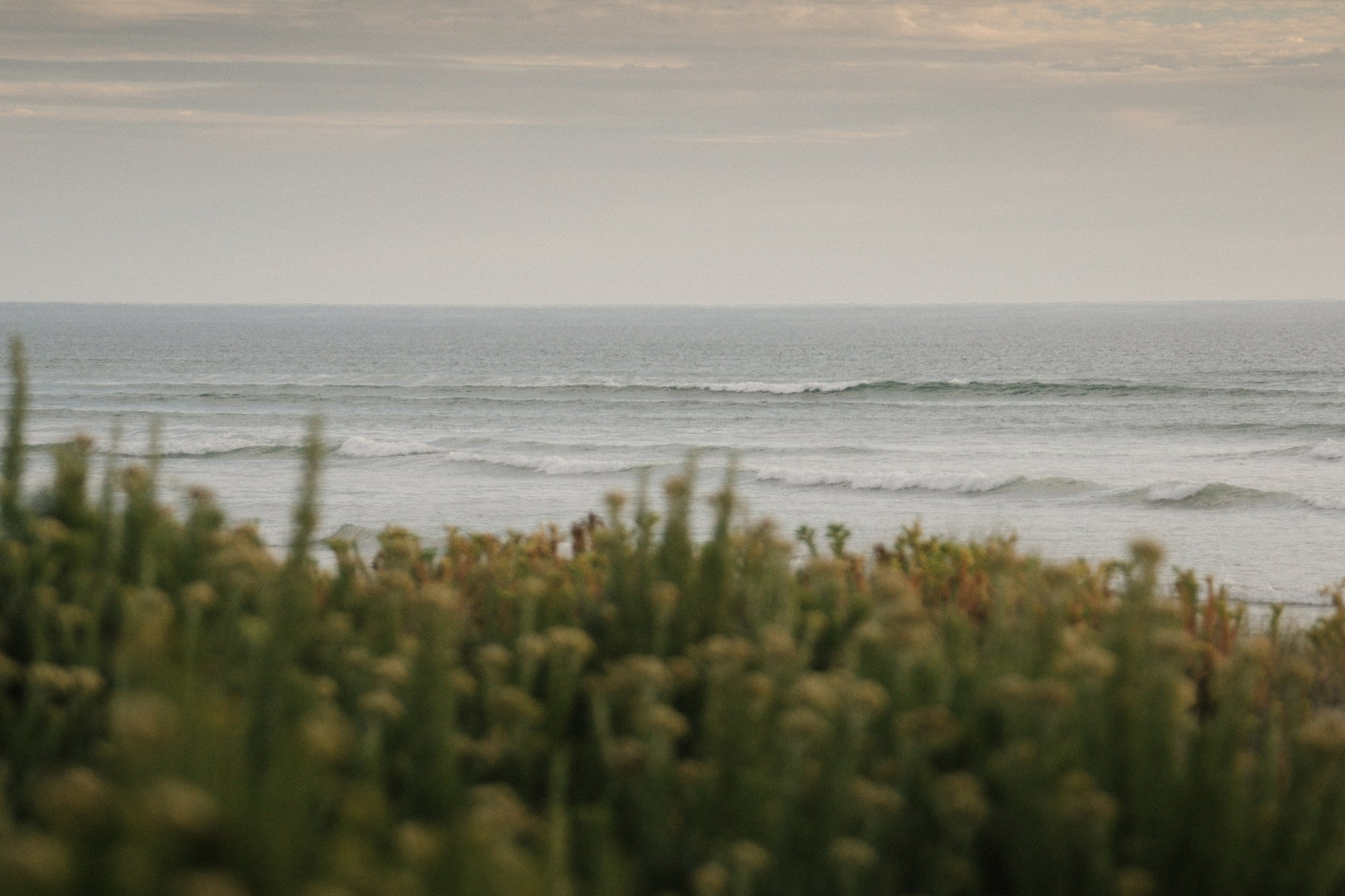 DSCF1294.JPG